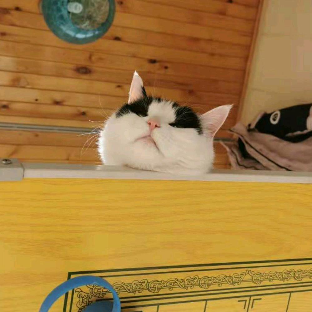 从前从前丶