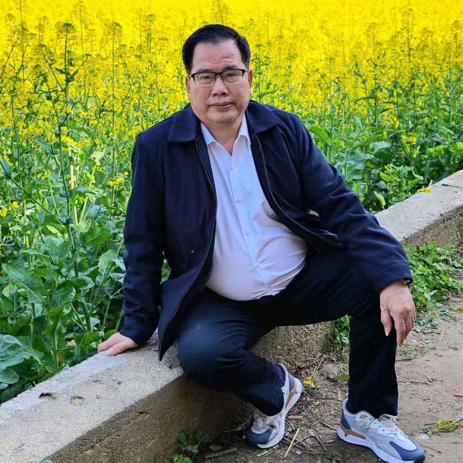 q夕阳红