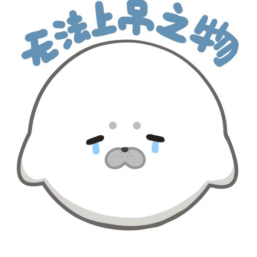 风起时见你