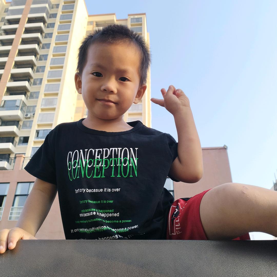 白马烧鸡46／只