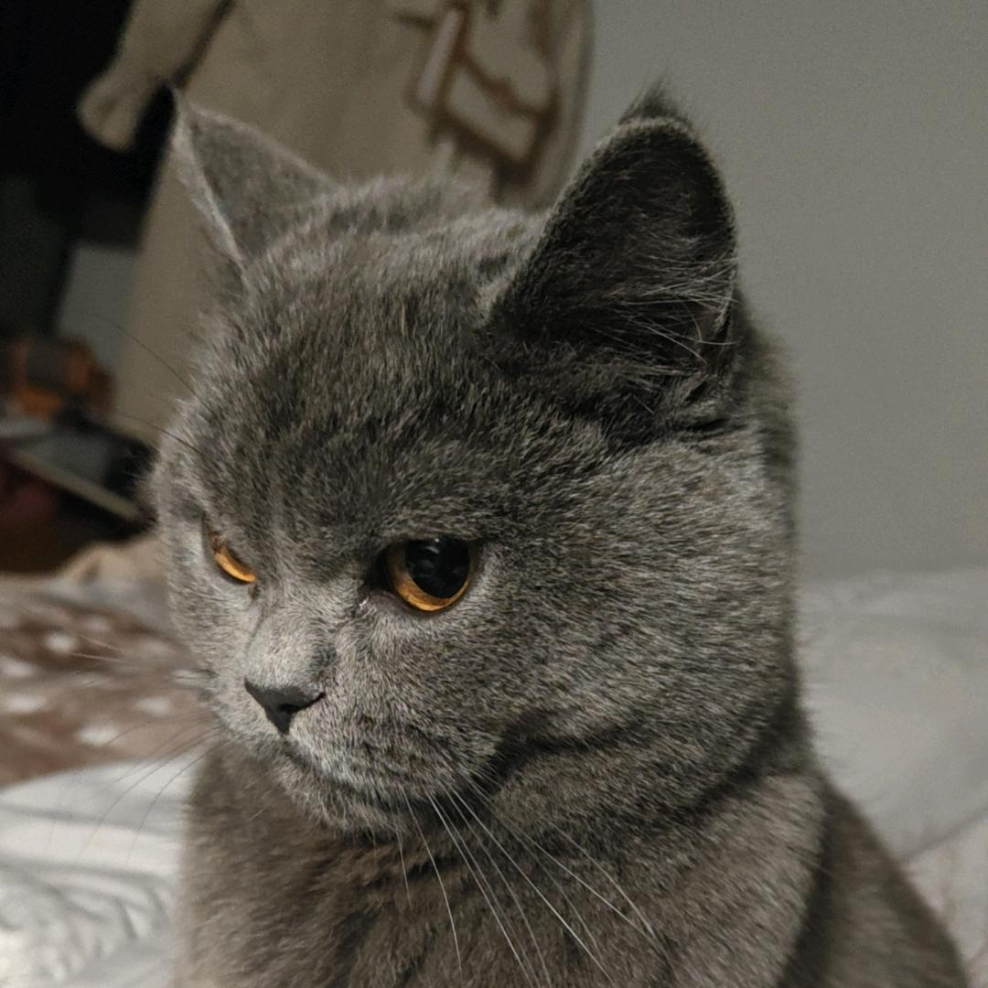 ღ᭄轩宝ꦿ妈妈ღ᭄*👉拒私聊