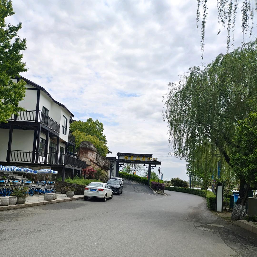 🌲🌻🎉星光璀璨🌻🎄🎉