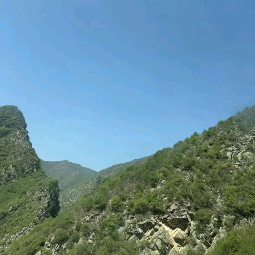 顶峰相见