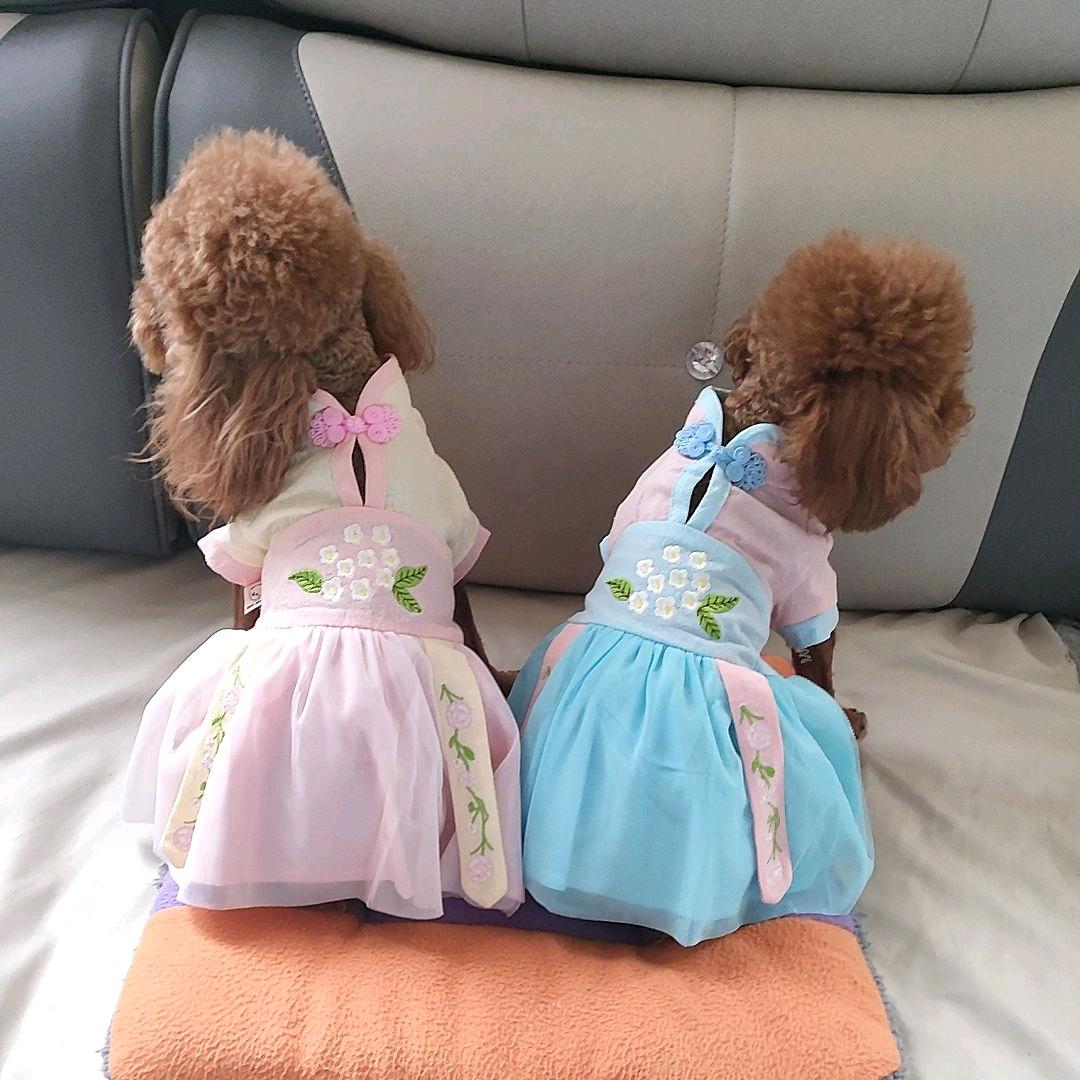 🎶祖儿超哇塞🎤