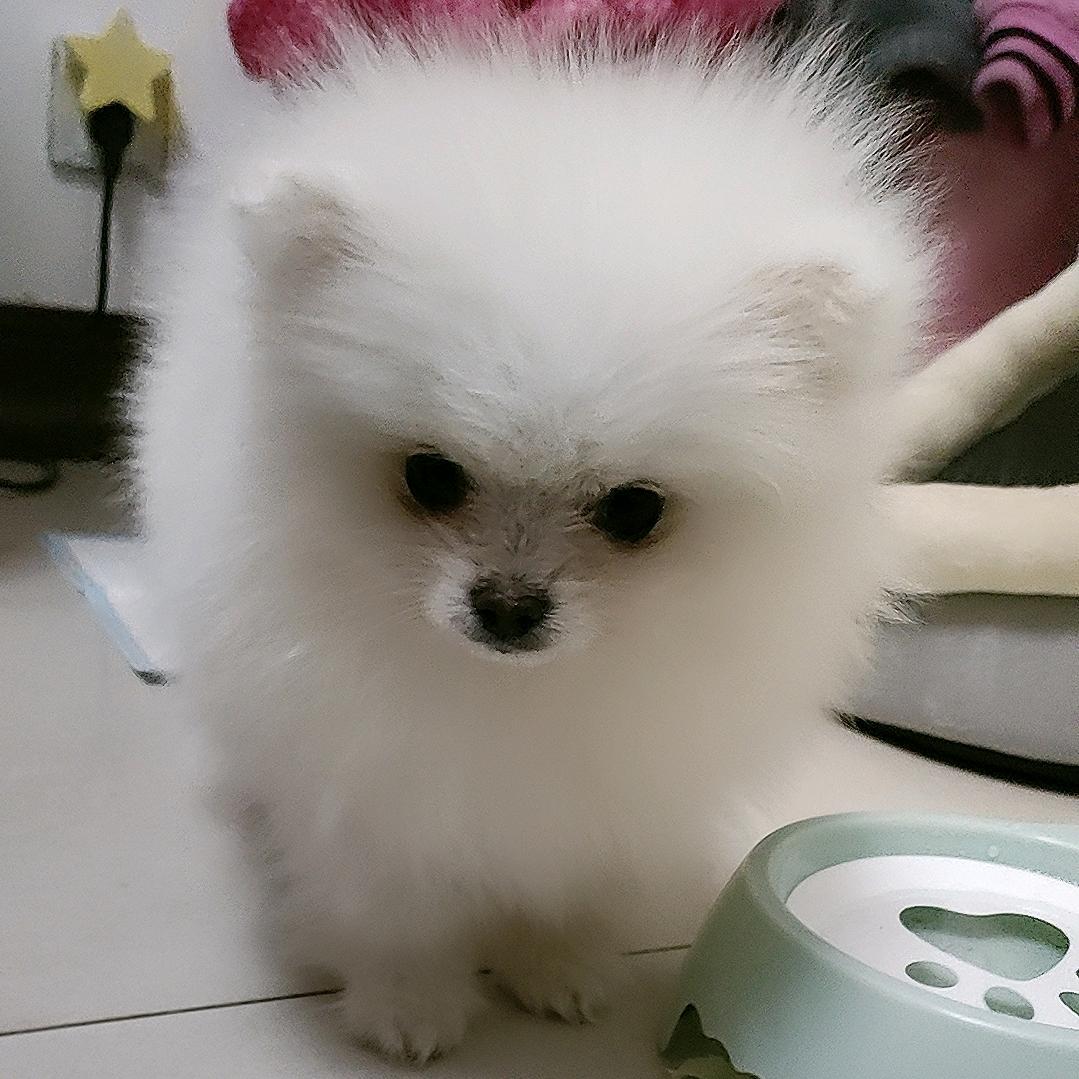 靓仔（三角洲行动）