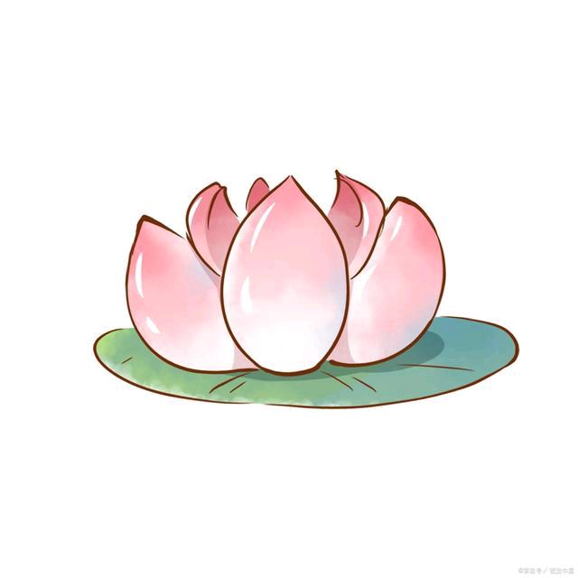 小荷的家庭农场