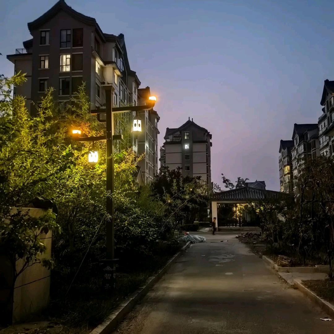 ٩(๛ ˘曙光 ³˘)۶