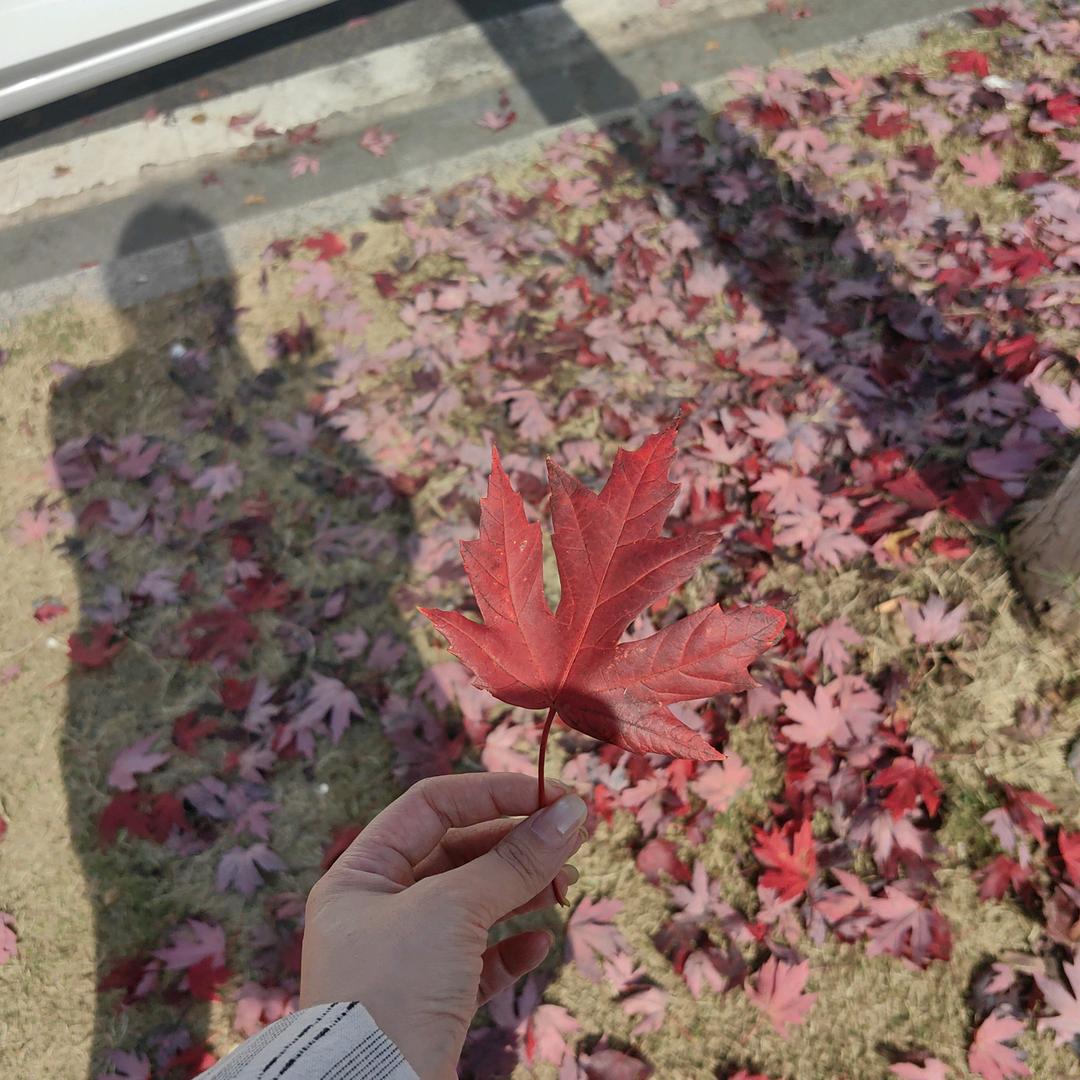 独一无二的存在(恶毒女上线)