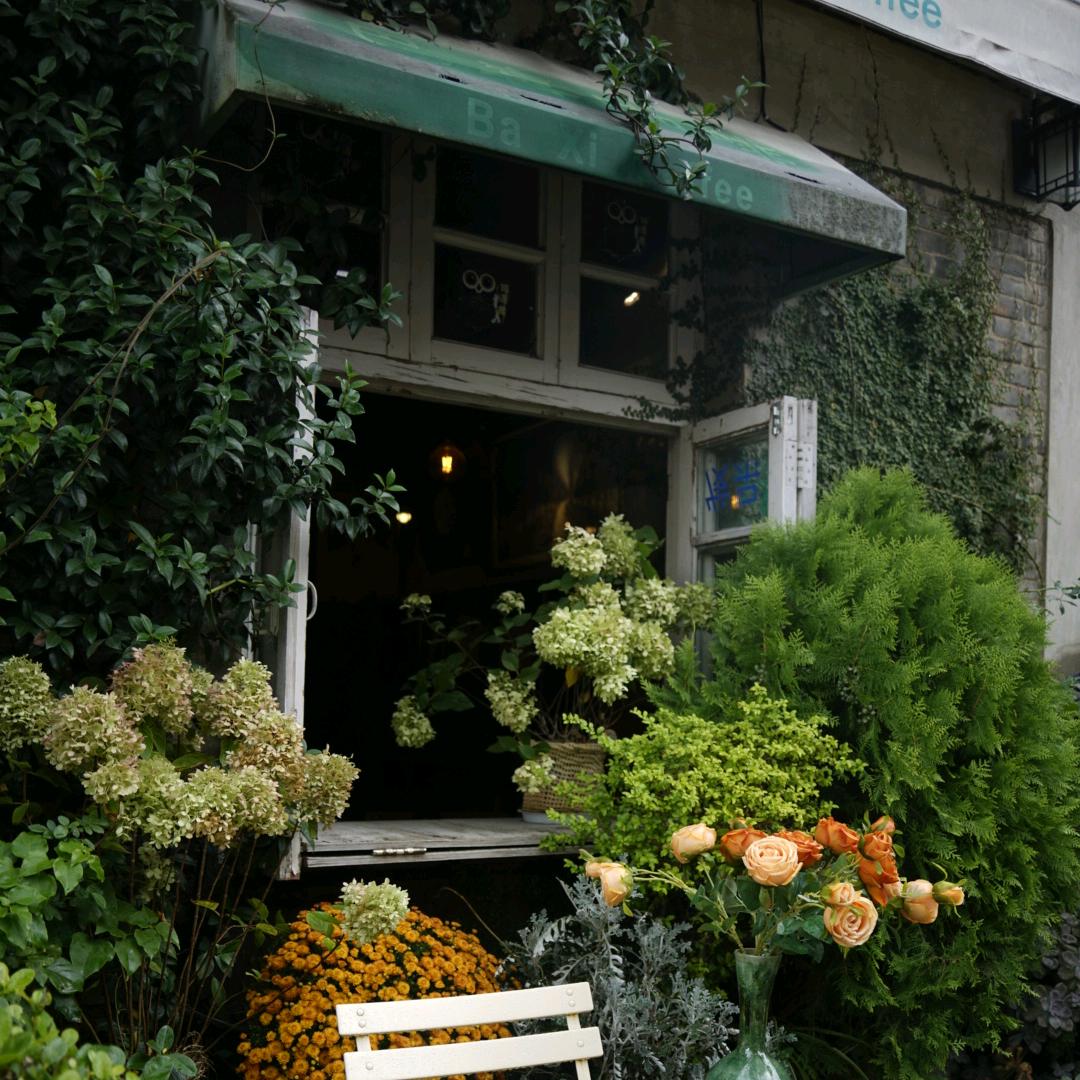 一个正在装修的小白