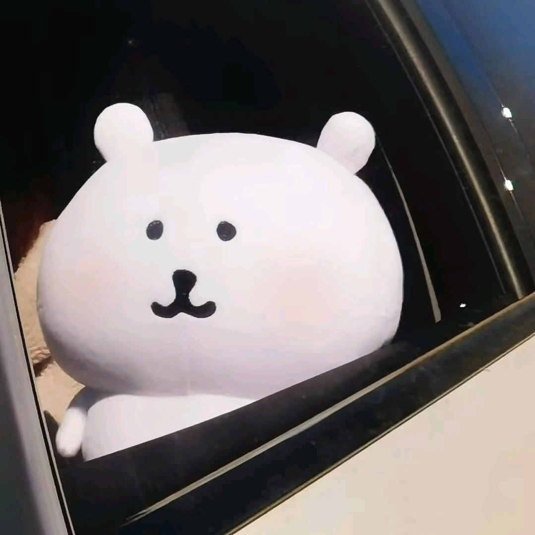 田田向上。