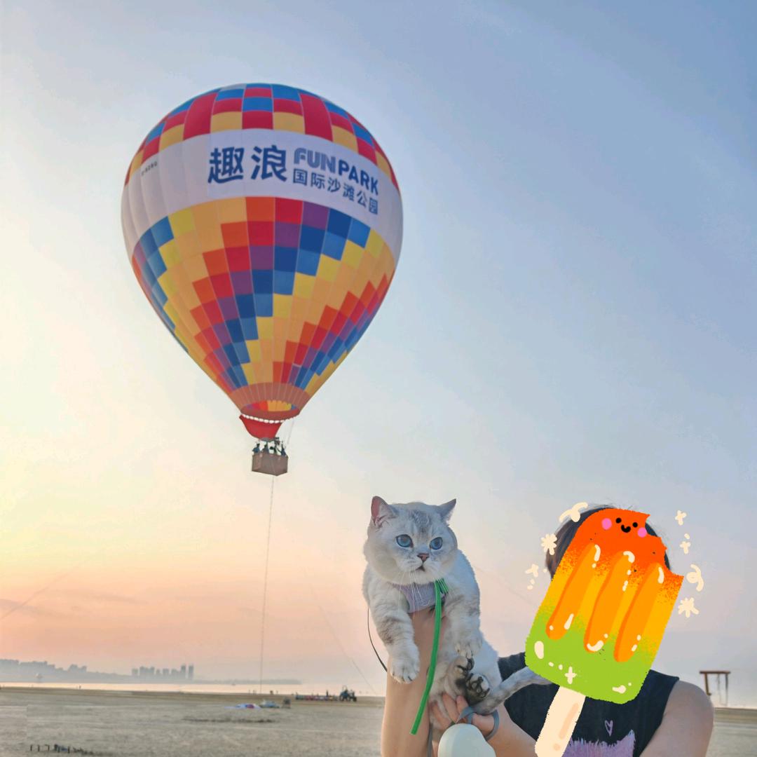饼饼