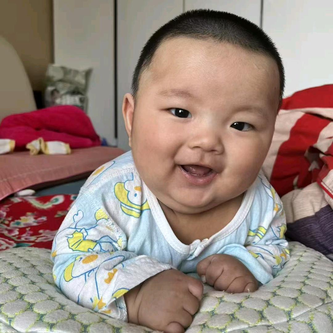 雪中情