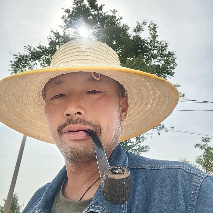 龙四