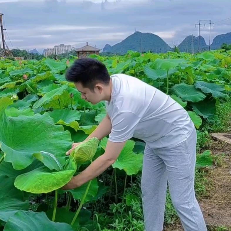 半山男友