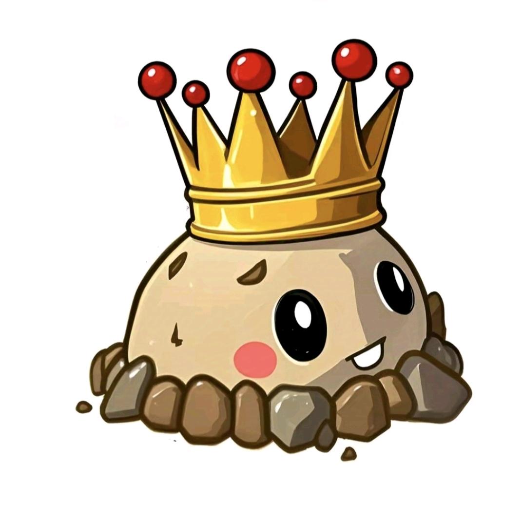 土豆King