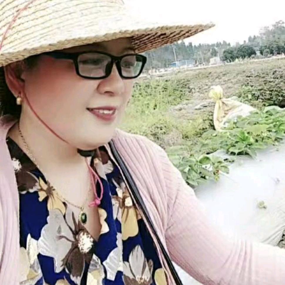 霞姐爱生活