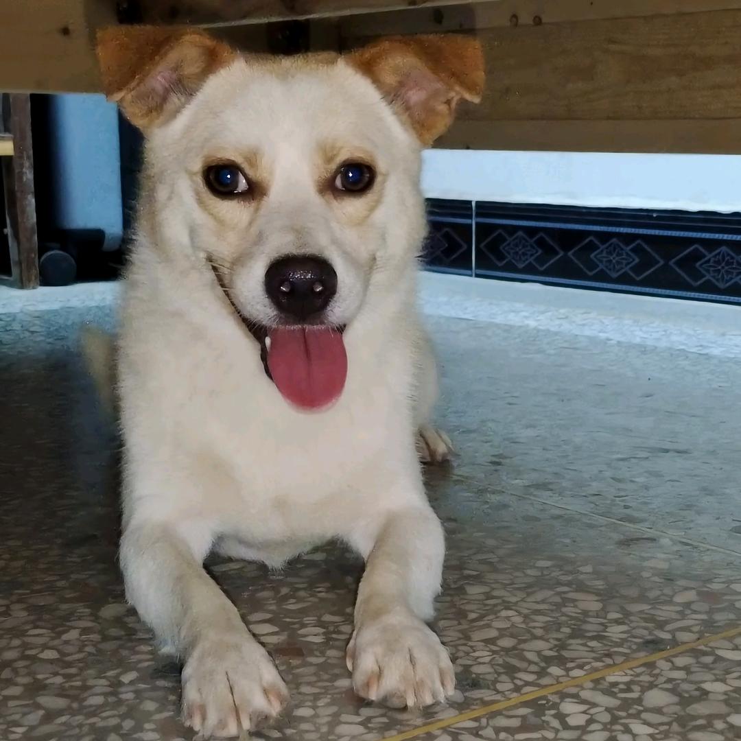 🇨🇳钱多多🇨🇳