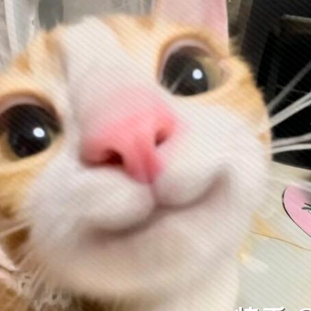 土拔鼠