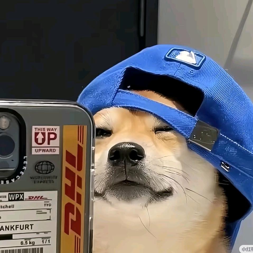 向阳萝卜