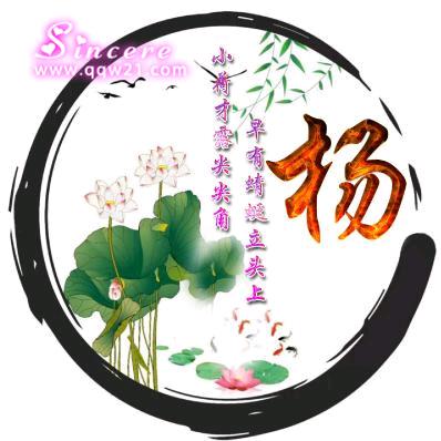 ꧁光明镇🎤🔥🎵杨少꧂