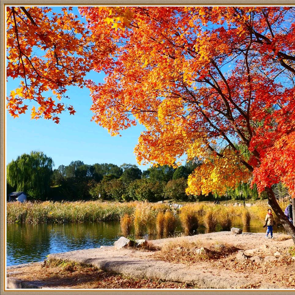 静心～ （September）^O^