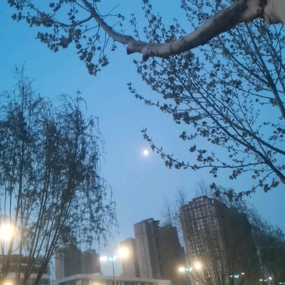 我行我素