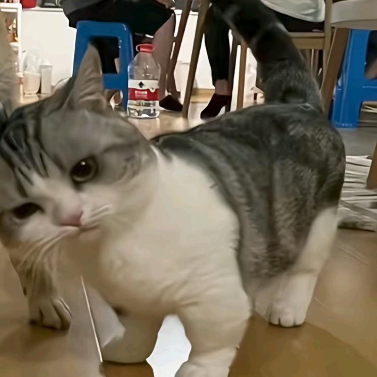 繁华