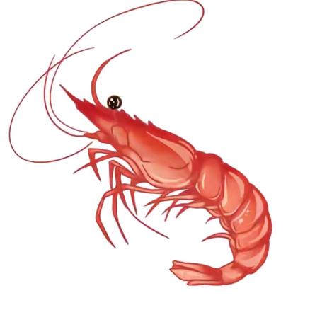 虾米🦐(主页另一个号)