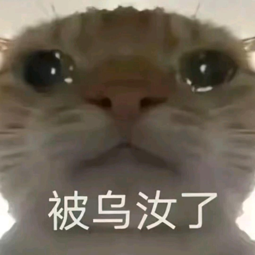 心心来了哦
