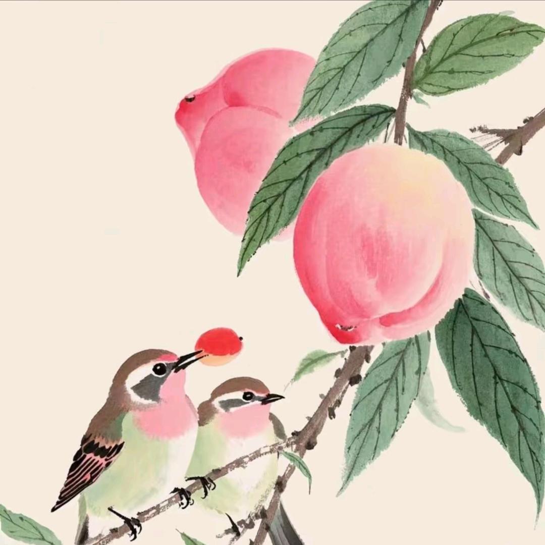 针爱姐