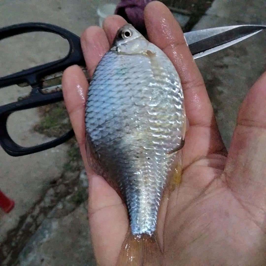 有你焊接