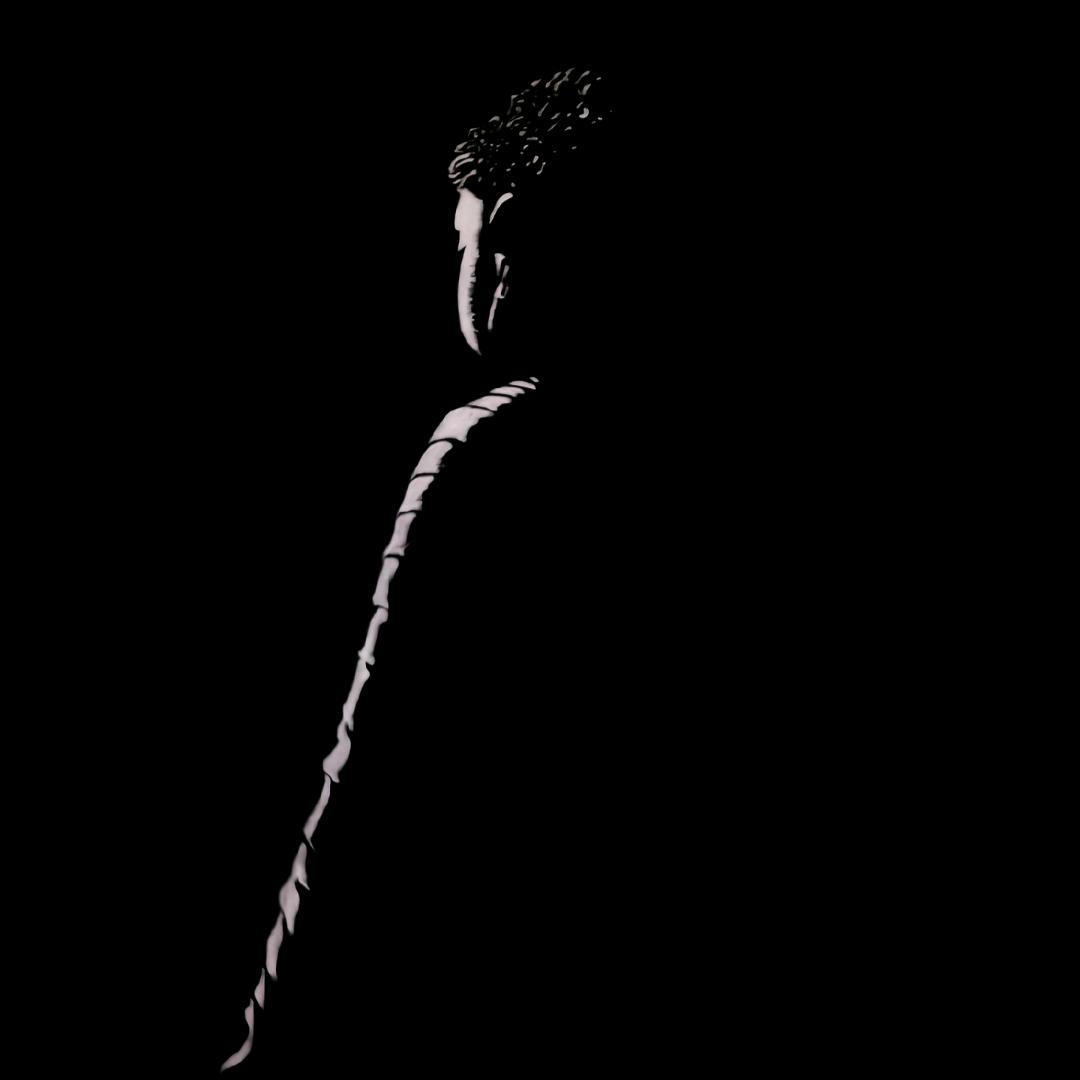 ✨⃢前⃢程⃢似⃢锦⃢✨