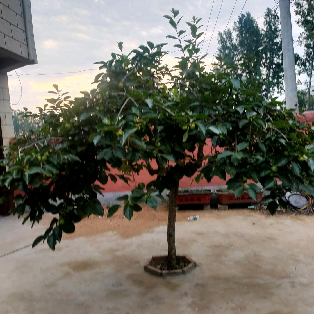 昌盛外墙装修有限公司