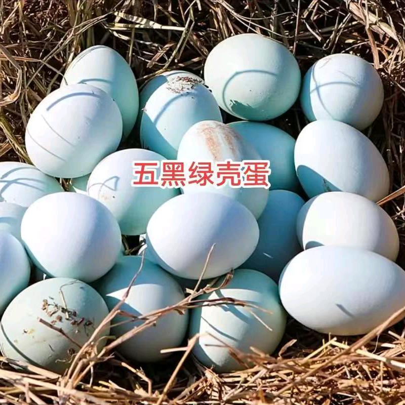珍羽家土鸡蛋【五丈原】