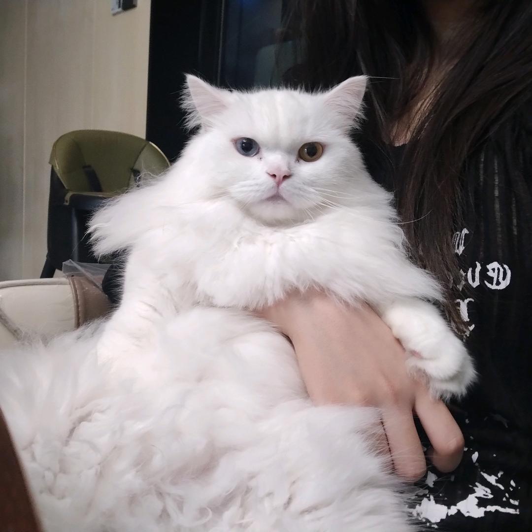 我睡觉的时候不困
