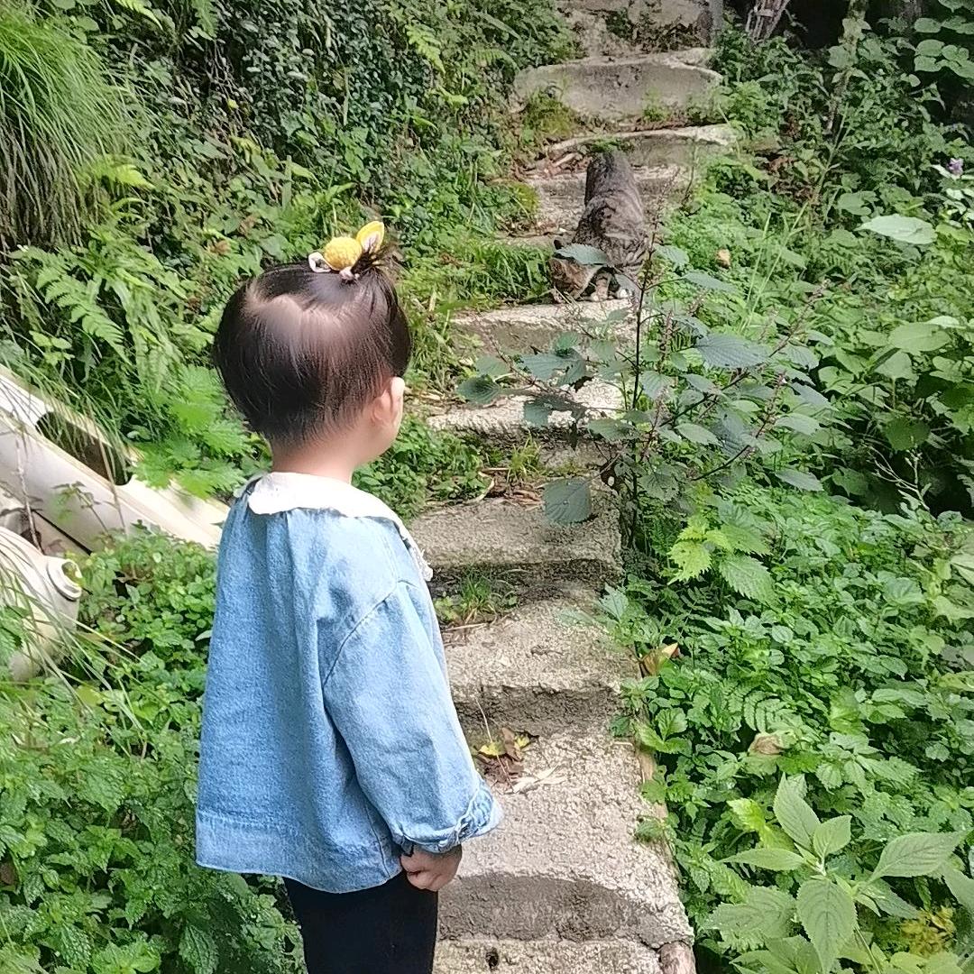 🌸开在心里的花🌸