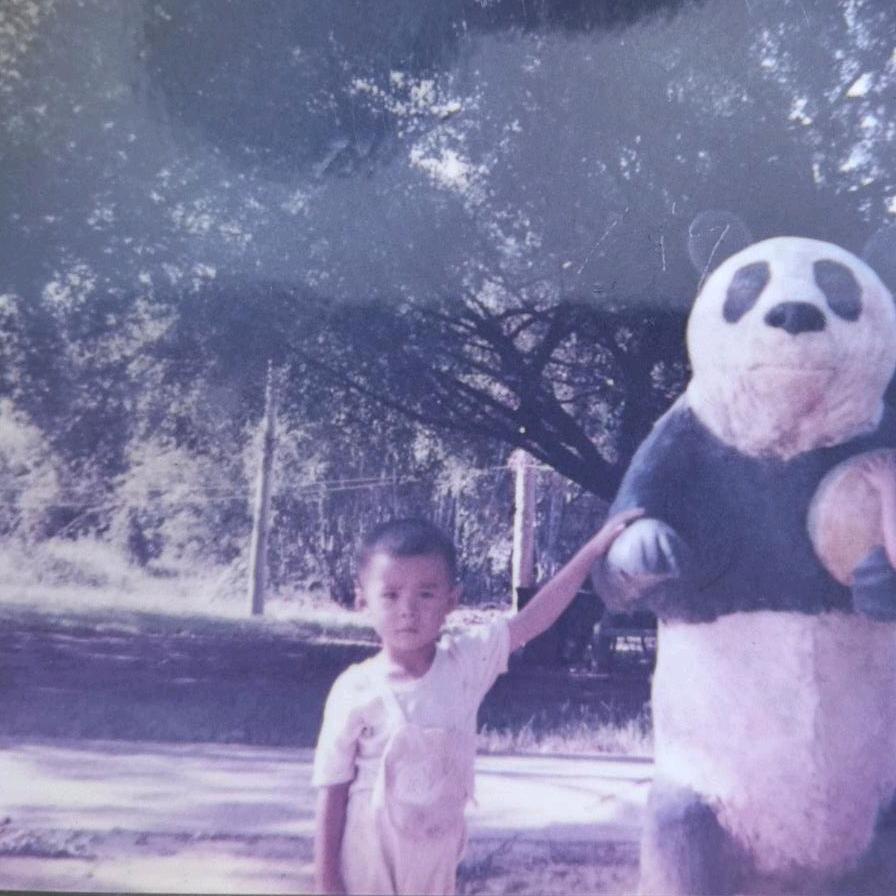 韦氏后代.光