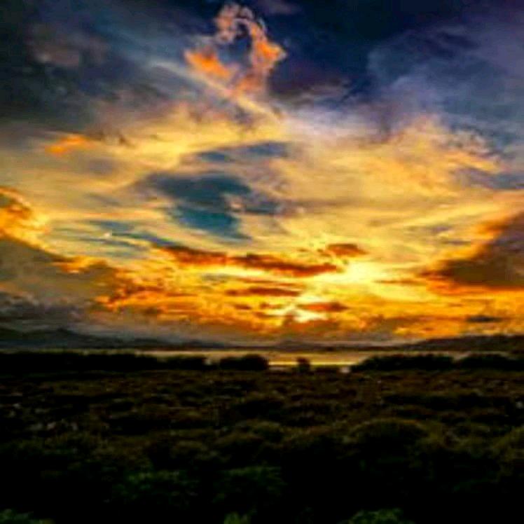 小🐠1L（广阔天空pw抖音）