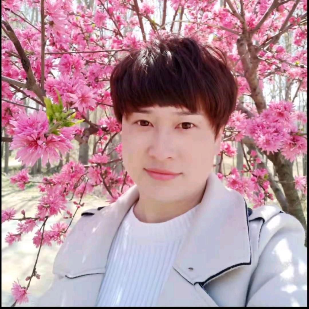 周口李姐
