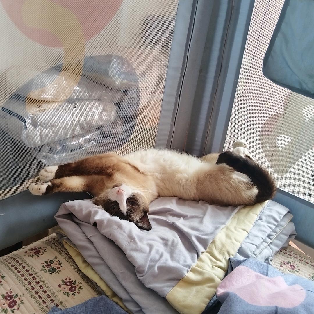 阿钰