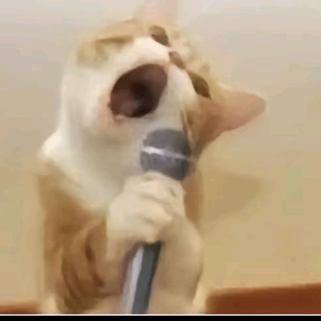 咸小渔