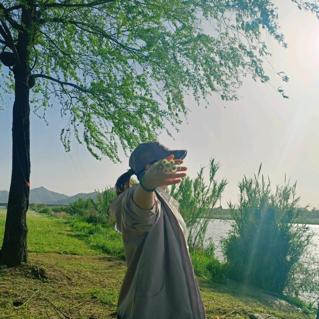 Da淋子