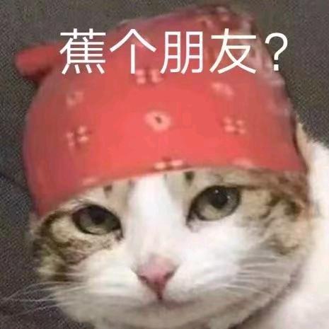 农夫三拳有点疼