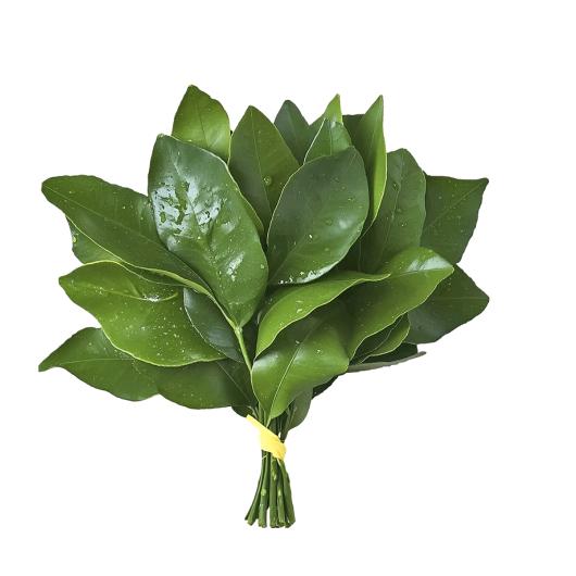刘姆雷特