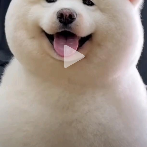 炜W