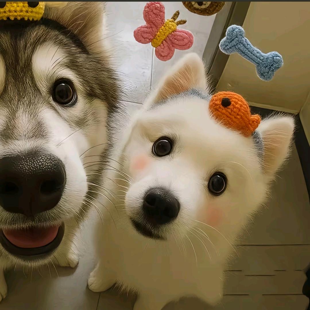 郁今澈