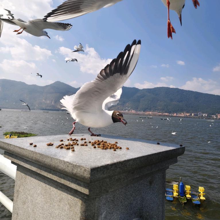 灰色的空间