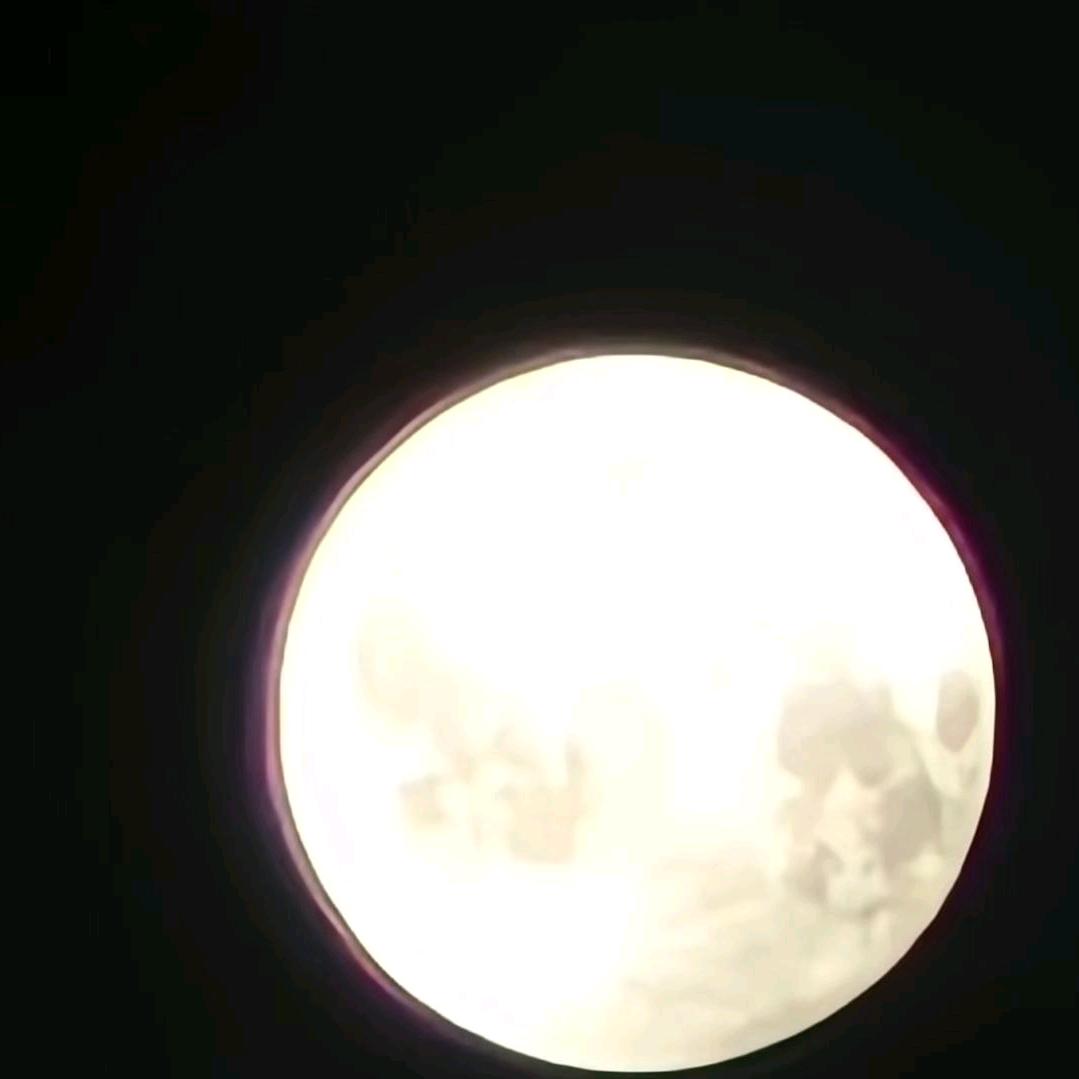 ︴星沉大海