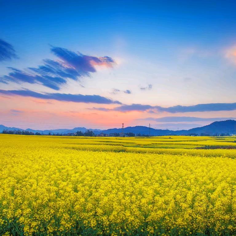 @🚬ಇ᭄无名࿐᭄先生ꦿᭁ: