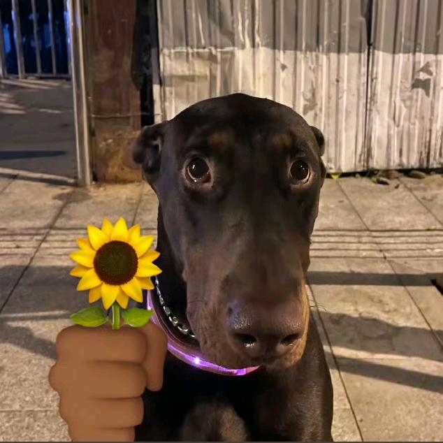 xiao（见过小海版）